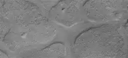Terrain Near Abalos Colles