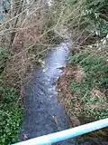 Eagle Creek at Phillips Ave. and Woodbrook Pl., near Greystone Mall