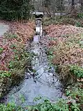 An Eagle Creek tributary at Ednor Cr. just north of Greystone Dr., Montecito