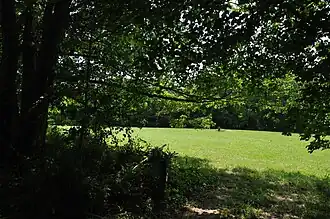 Field