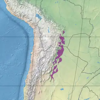 Southern Andean Yungas