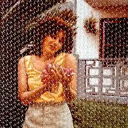 The artwork for Sol María, which depicts a woman flowers in front of a house. The artwork is partly covered with bubble wrapping and the album's title is handwritten on the right side.