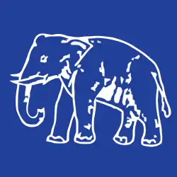Bahujan Samaj Party Flag