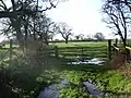 Track between Hutton and Penwortham