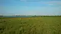 The grazed wet meadows are extensive.