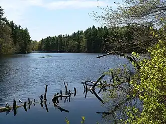 Lake