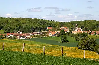 Fahy village