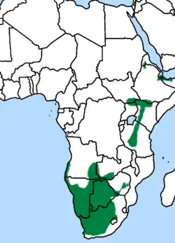 Eastern and southern Africa