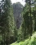 Thuringian Forest