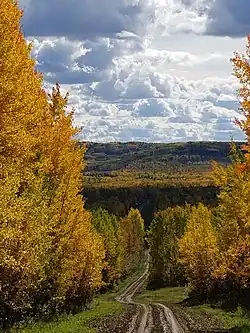 Autumn