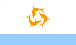 National flag