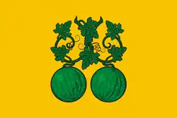 Flag of Balashov