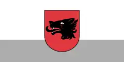 Flag of Balvi