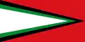 Flag of Cerrito, Santander