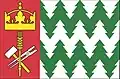 Flag of Chyňava