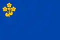 Flag of Jevišovka