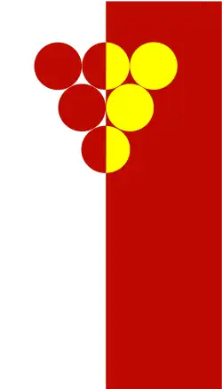 Flag of Kavadarci Municipality