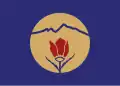 Flag of Kukës County