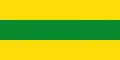 Flag of La Virginia