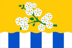 Flag of Leninsk