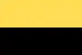 Flag of Magüí Payán