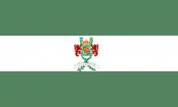 Flag of the Department of Masaya
