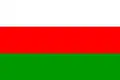 Flag of Mazcuerras
