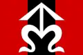 Flag of Nahošovice