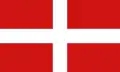 Flag of Novara