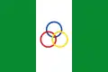 Flag of Nunchía