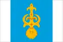 Flag of Penzensky District