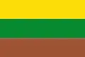 Flag of Pinchote