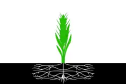 Flag of Pochinkovsky District