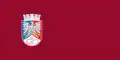 Flag of Postojna