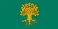 Flag of Sēja Municipality