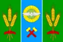 Flag of Salsky District