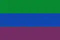 Flag of Somondoco
