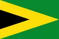 Flag of Tibú