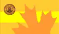 Flag of Yorkton