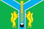 Flag of Zalarinsky District