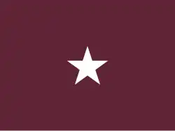 Flag of a United States Army Medical Department Brigadier General