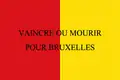 Flag of volunteers of Liege (1830 – 1831)