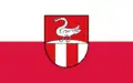 Flag of Ammerthal