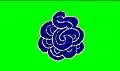 Flag of Cocula