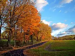 Autumn landscape