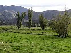 Rural area