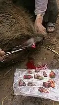 Simple removal of prolapsed edematous tissues