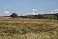 Foxhole Heath