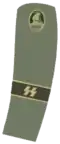 Gefolgsmann