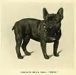 1890
